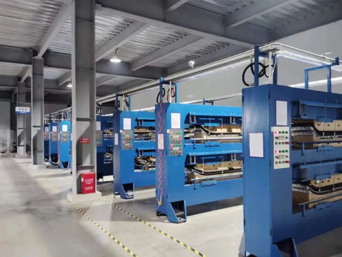 湖北翔馳運(yùn)動用品 加快培育新質(zhì)生產(chǎn)力 賦能企業(yè)創(chuàng)新發(fā)展