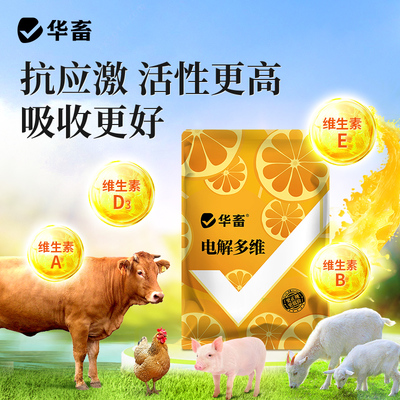 養殖達人的秘密武器 華畜電解多維，寵物健康的新選擇？