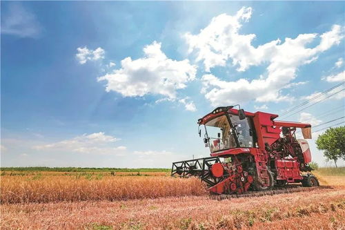 糧農(nóng)組織推動(dòng)種子與作物多樣性發(fā)展，保障全球糧食安全